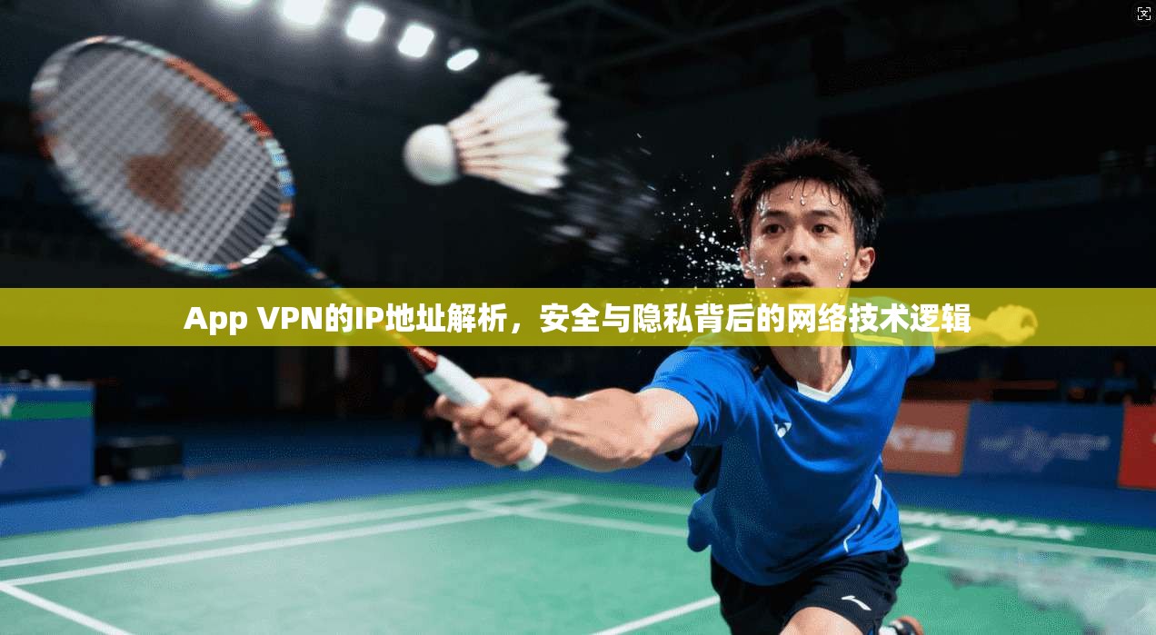 App VPN的IP地址解析，安全与隐私背后的网络技术逻辑