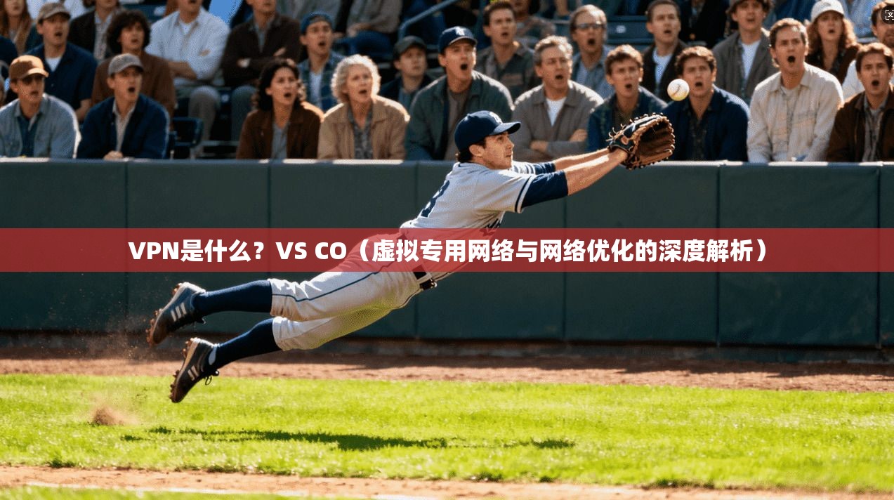 VPN是什么？VS CO（虚拟专用网络与网络优化的深度解析）