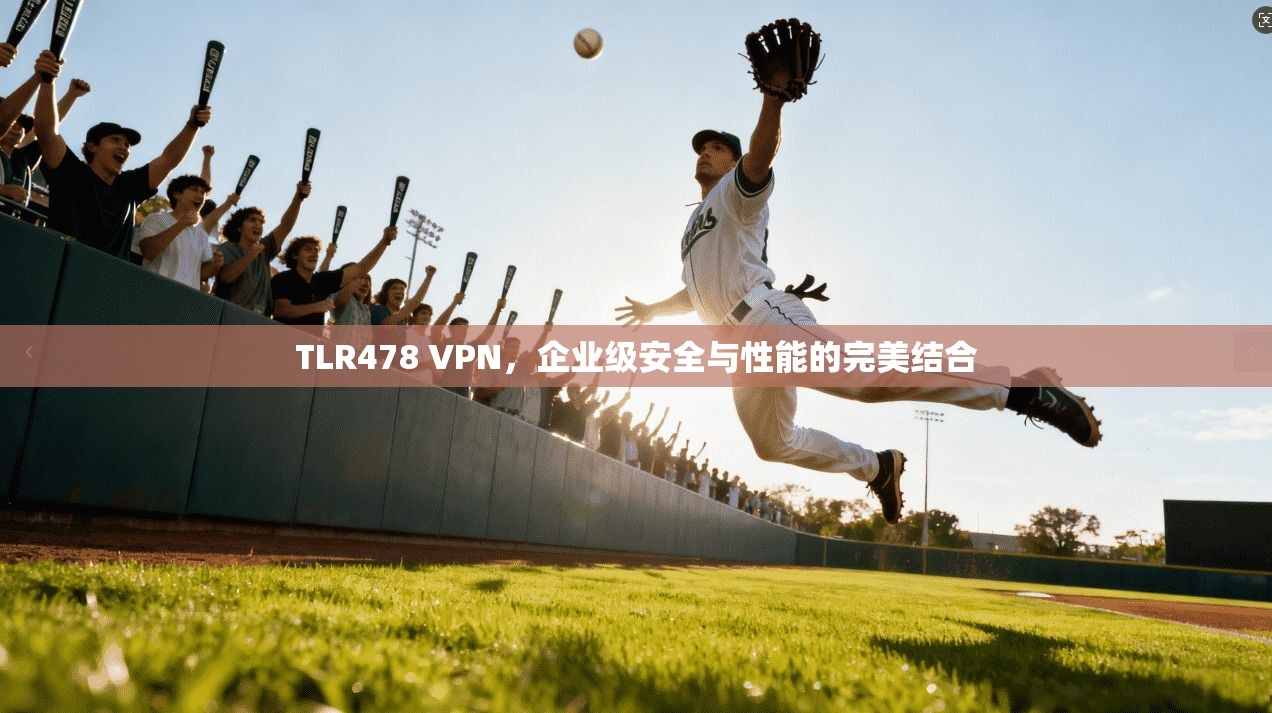 TLR478 VPN，企业级安全与性能的完美结合