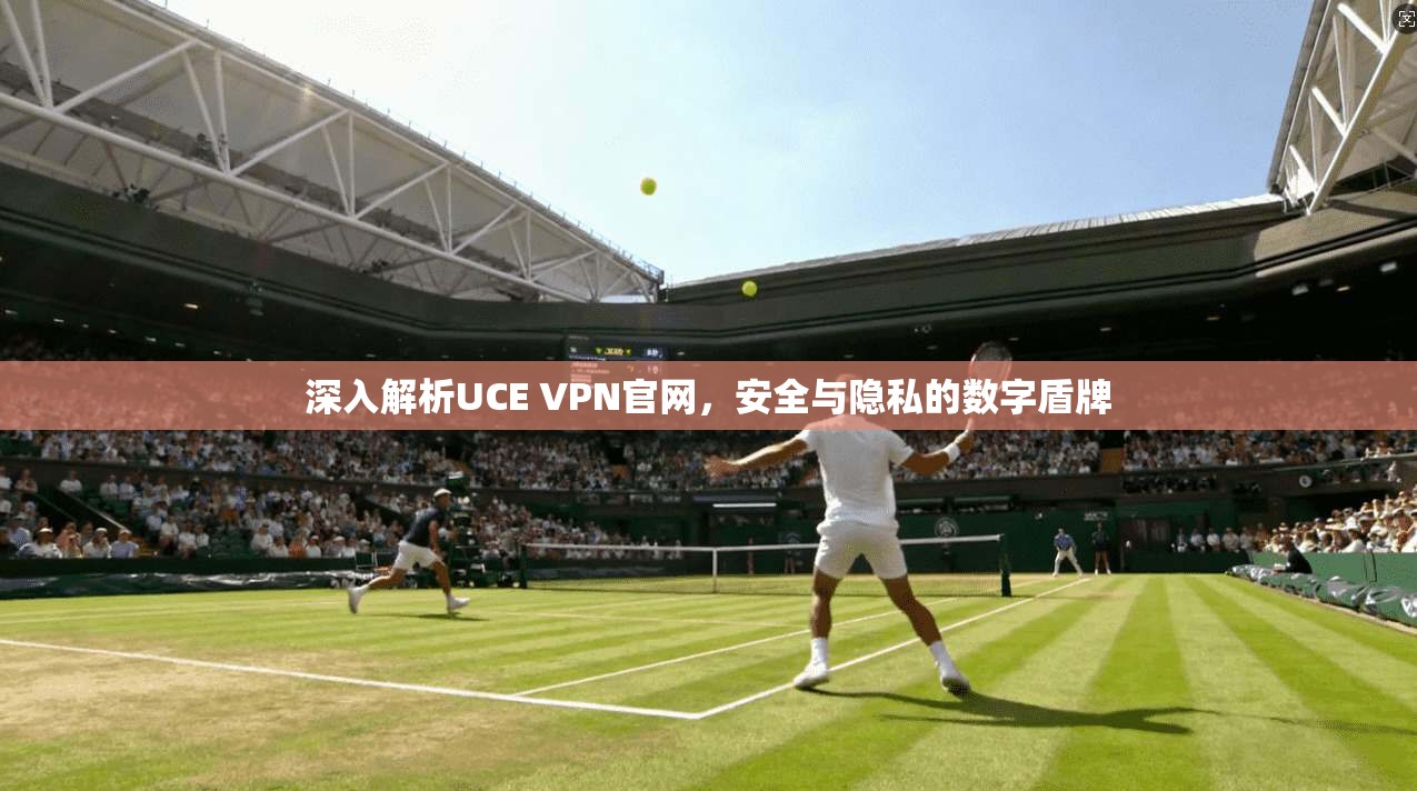 深入解析UCE VPN官网，安全与隐私的数字盾牌