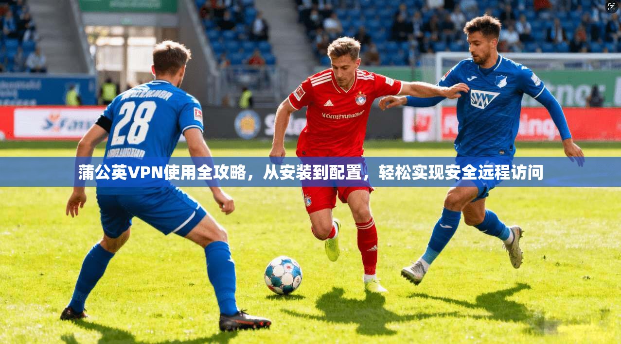 蒲公英VPN使用全攻略，从安装到配置，轻松实现安全远程访问