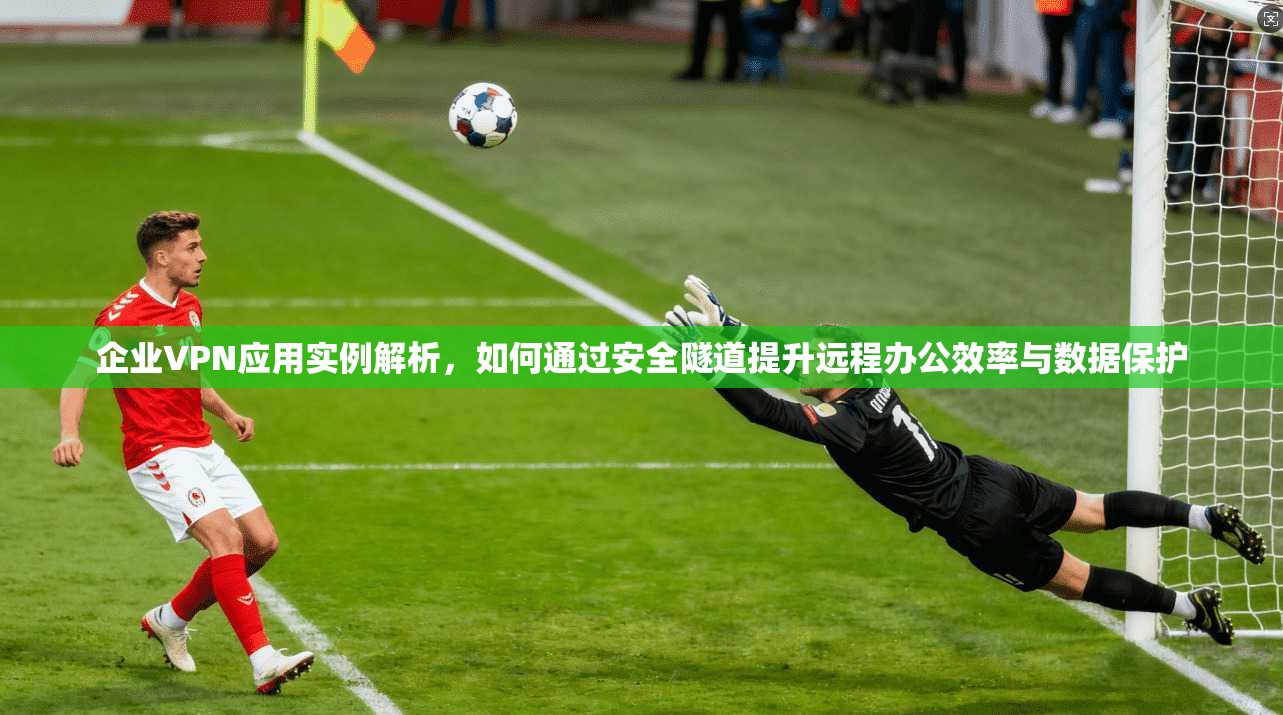 企业VPN应用实例解析，如何通过安全隧道提升远程办公效率与数据保护
