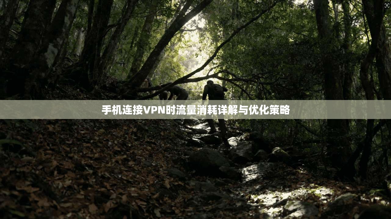手机连接VPN时流量消耗详解与优化策略