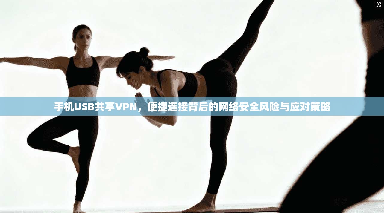 手机USB共享VPN，便捷连接背后的网络安全风险与应对策略