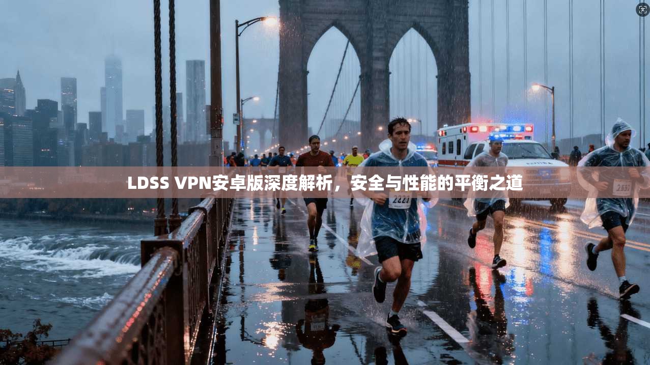 LDSS VPN安卓版深度解析，安全与性能的平衡之道