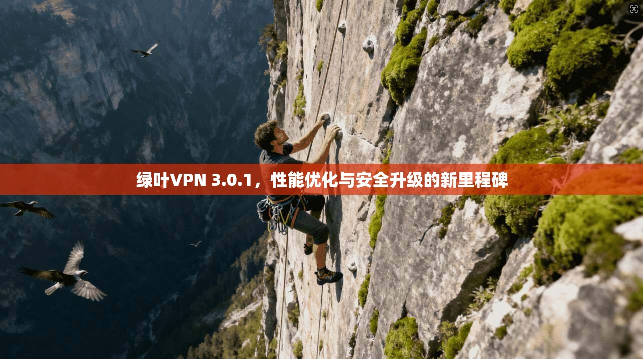 绿叶VPN 3.0.1，性能优化与安全升级的新里程碑