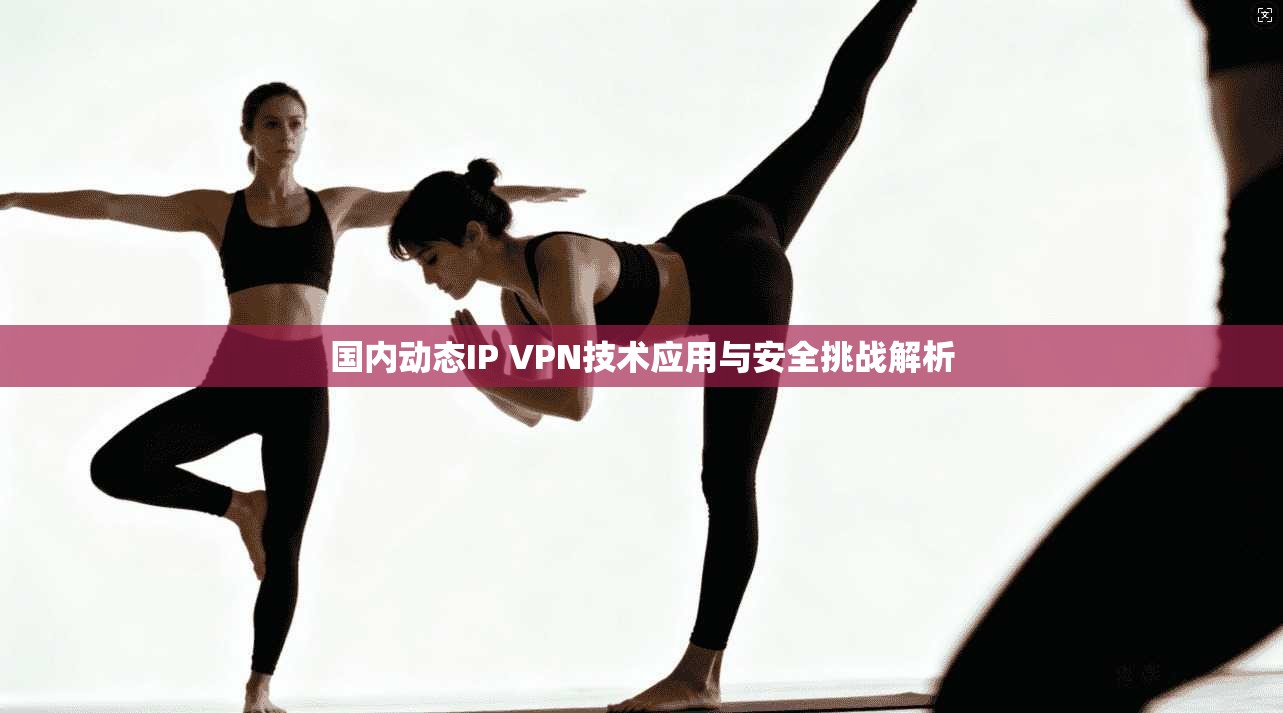国内动态IP VPN技术应用与安全挑战解析