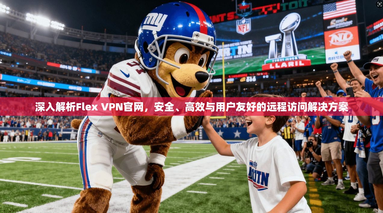 深入解析Flex VPN官网，安全、高效与用户友好的远程访问解决方案