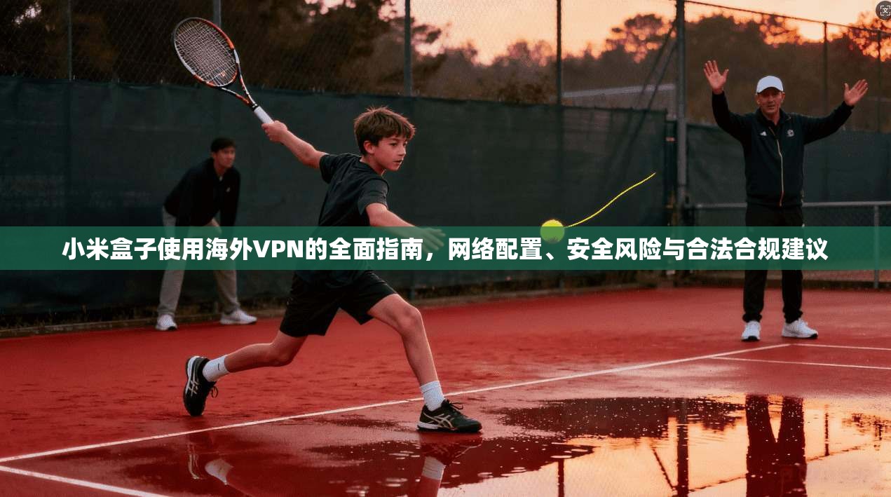 小米盒子使用海外VPN的全面指南,网络配置、安全风险与合法合规建议 小米盒子使用海外VPN的全面指南,网络配置、安全风险与合法合规建议