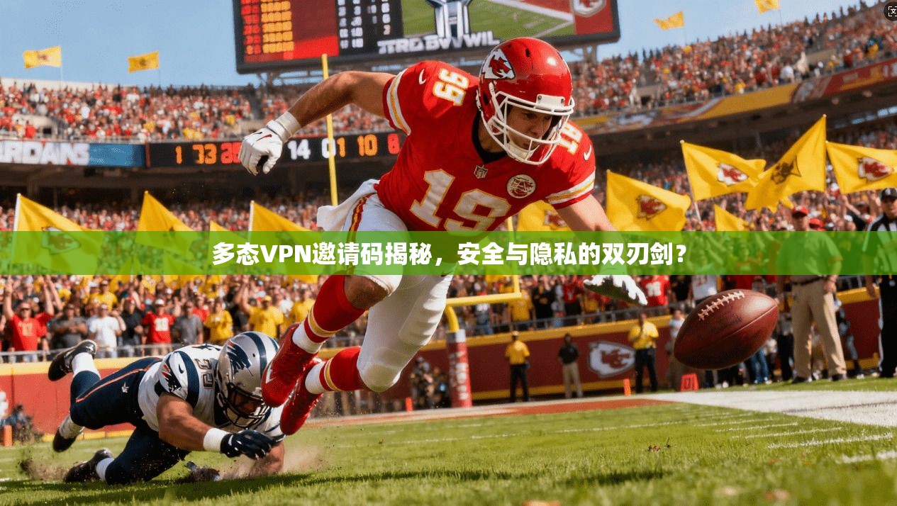 多态VPN邀请码揭秘，安全与隐私的双刃剑？