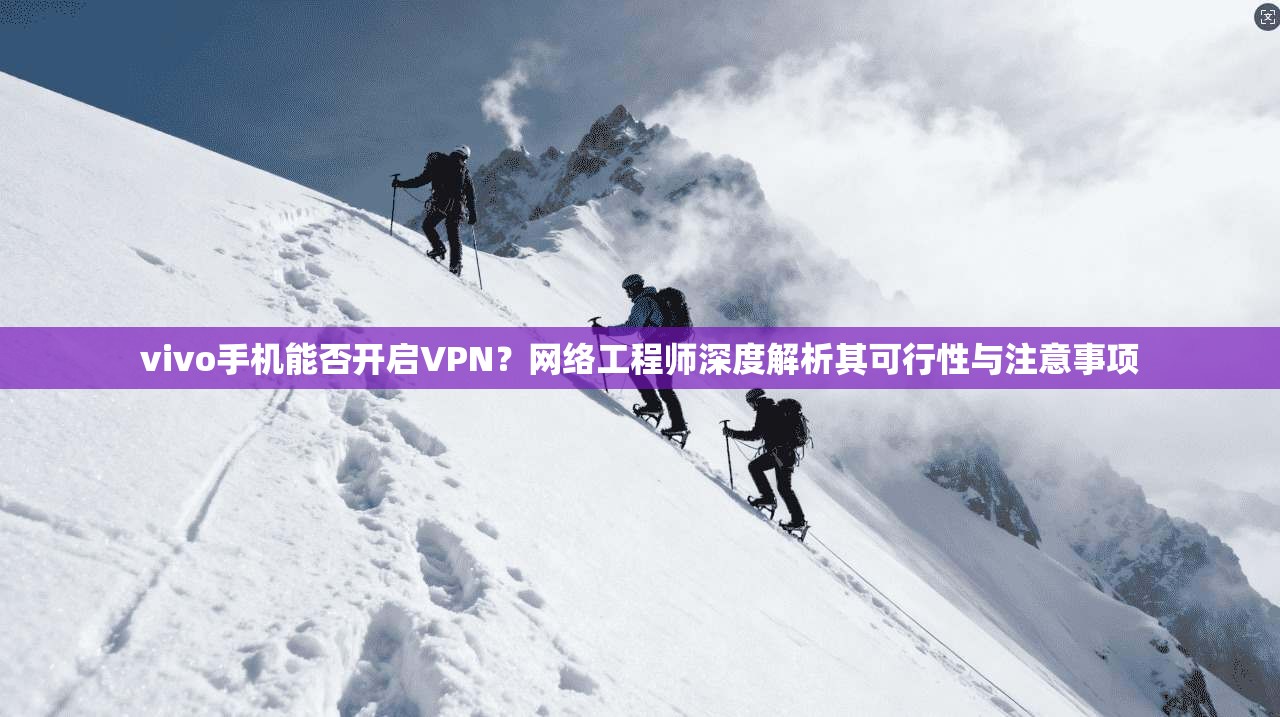 vivo手机能否开启VPN？网络工程师深度解析其可行性与注意事项