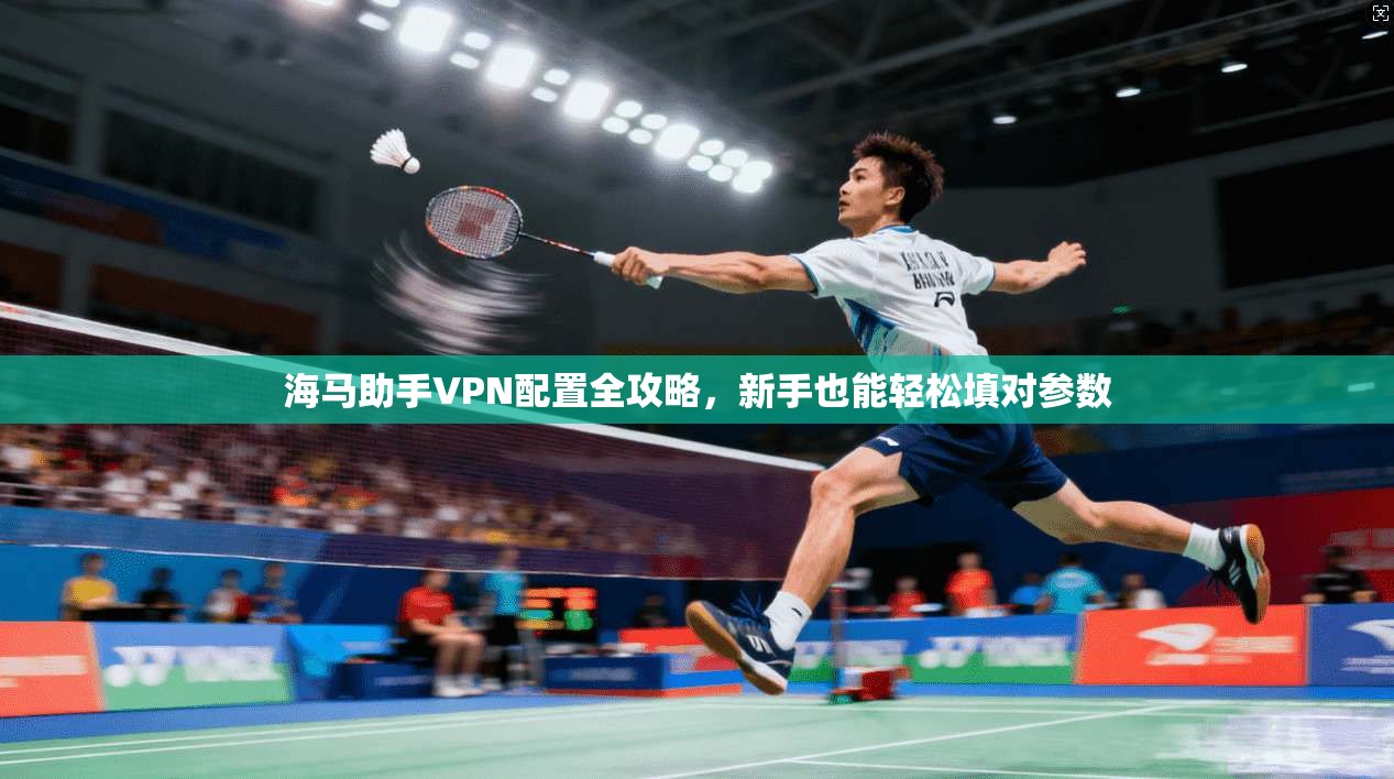 海马助手VPN配置全攻略，新手也能轻松填对参数