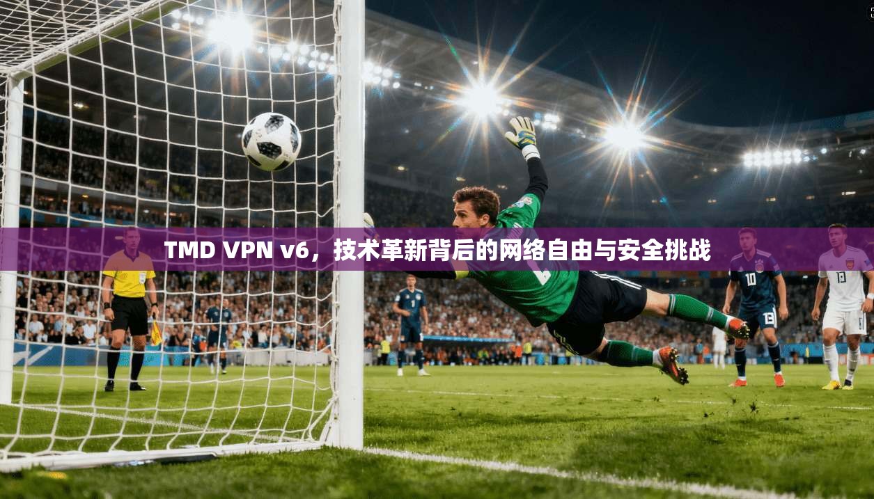 TMD VPN v6，技术革新背后的网络自由与安全挑战