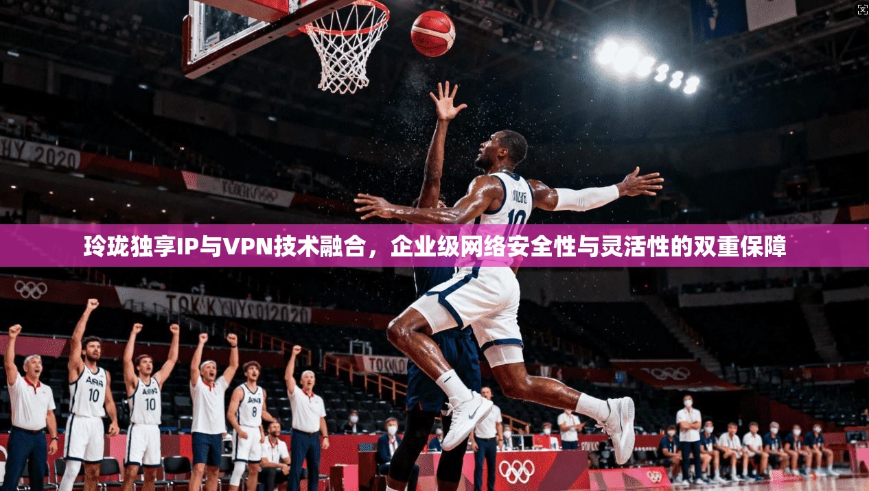 玲珑独享IP与VPN技术融合，企业级网络安全性与灵活性的双重保障