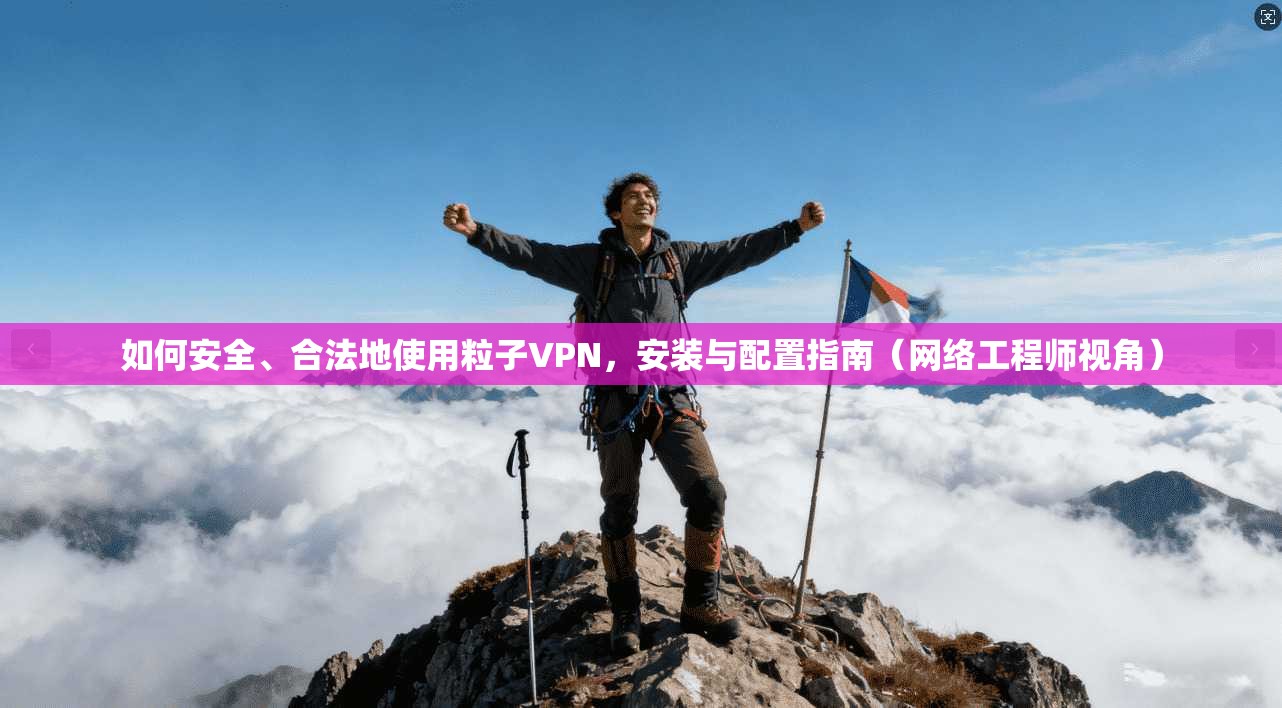 如何安全、合法地使用粒子VPN，安装与配置指南（网络工程师视角）