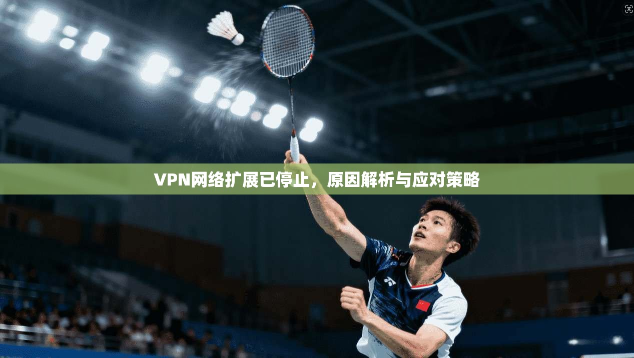 VPN网络扩展已停止，原因解析与应对策略
