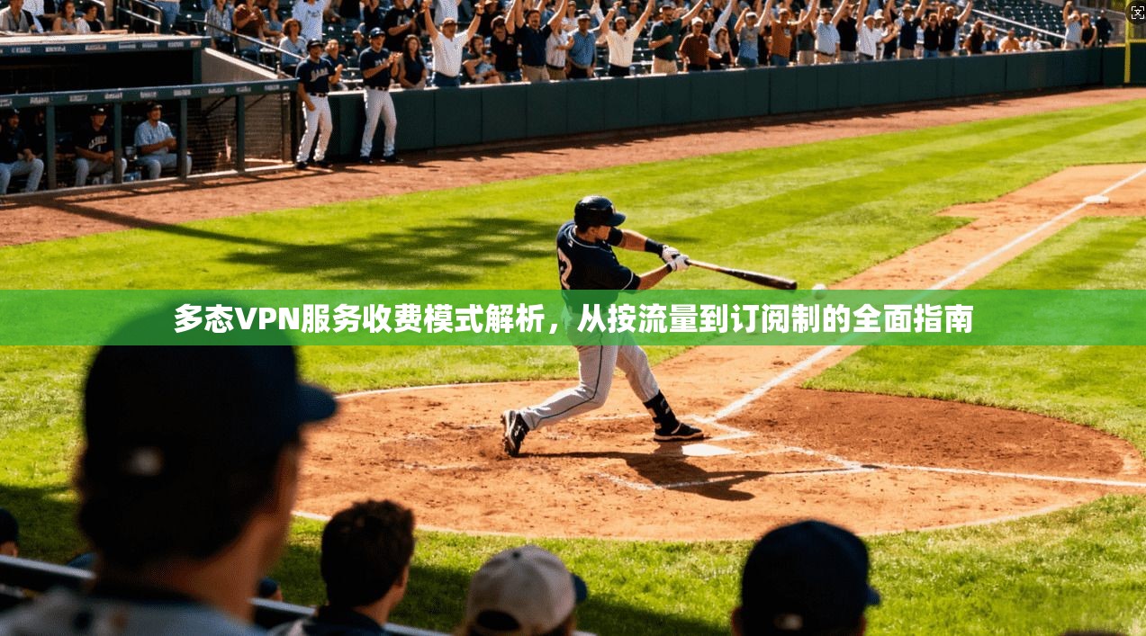 多态VPN服务收费模式解析，从按流量到订阅制的全面指南