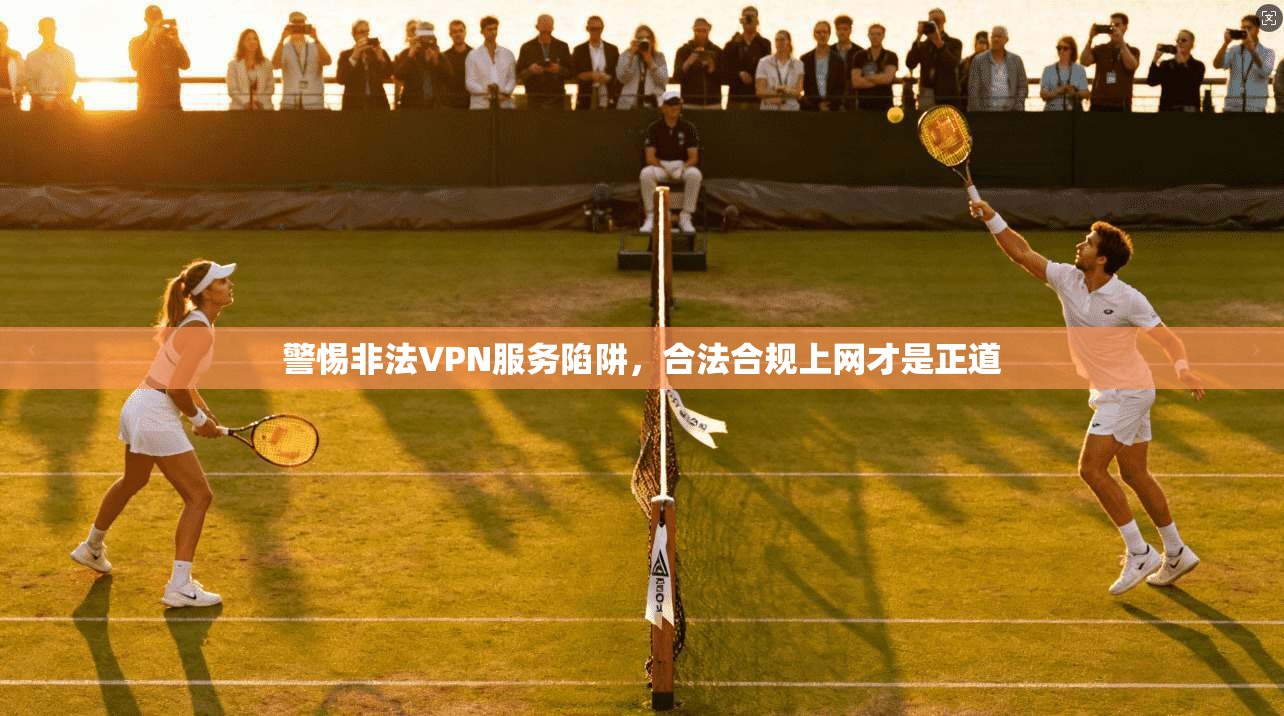 警惕非法VPN服务陷阱，合法合规上网才是正道