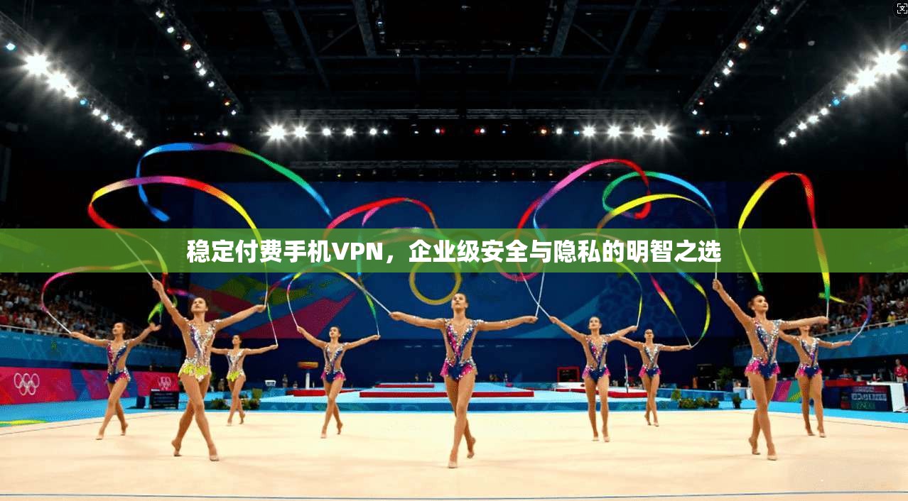 稳定付费手机VPN，企业级安全与隐私的明智之选