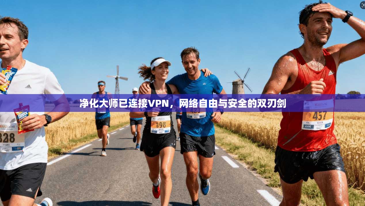 净化大师已连接VPN，网络自由与安全的双刃剑