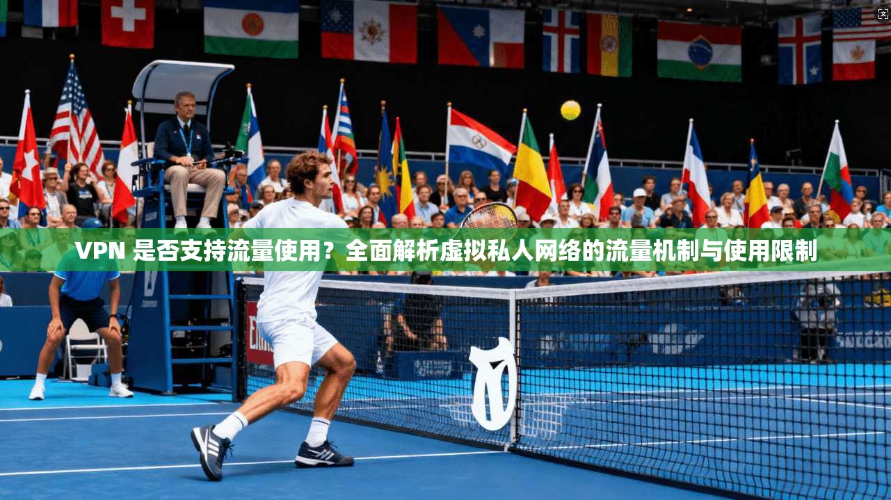 VPN 是否支持流量使用？全面解析虚拟私人网络的流量机制与使用限制