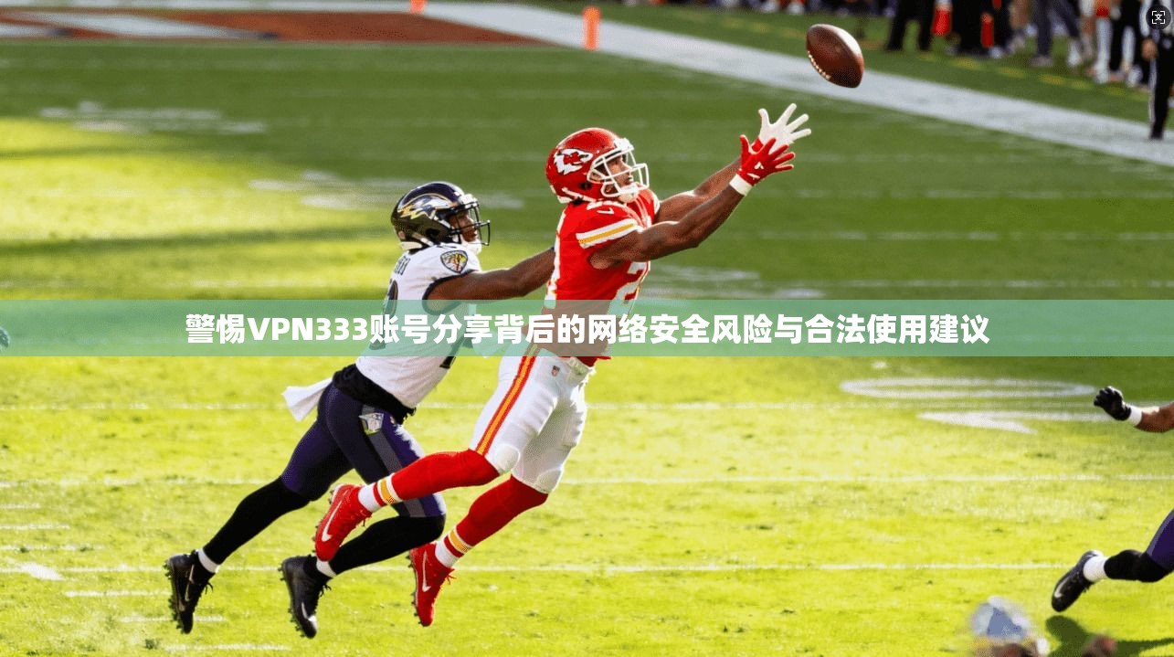 警惕VPN333账号分享背后的网络安全风险与合法使用建议
