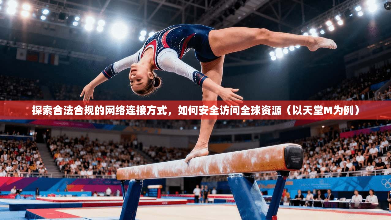 探索合法合规的网络连接方式，如何安全访问全球资源（以天堂M为例）