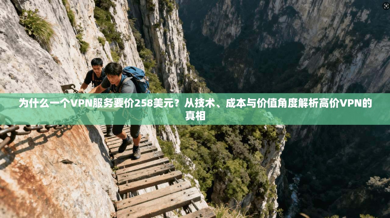 为什么一个VPN服务要价258美元？从技术、成本与价值角度解析高价VPN的真相