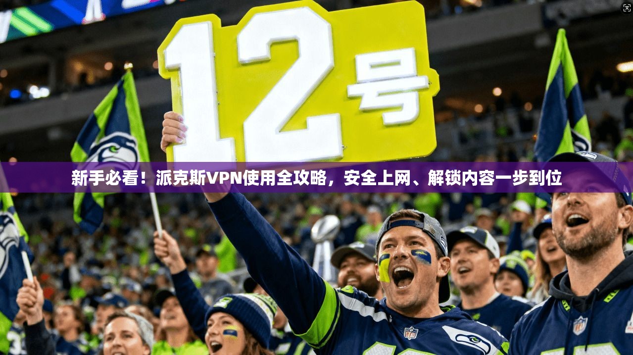 新手必看！派克斯VPN使用全攻略，安全上网、解锁内容一步到位