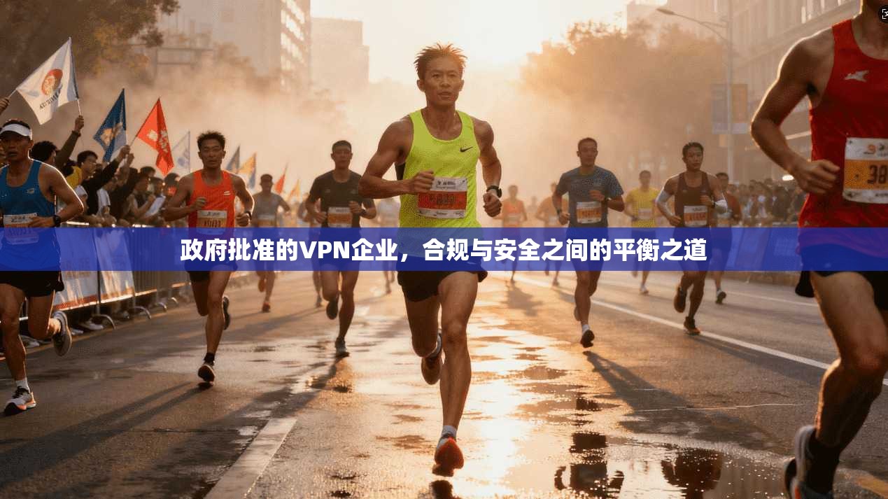 政府批准的VPN企业，合规与安全之间的平衡之道
