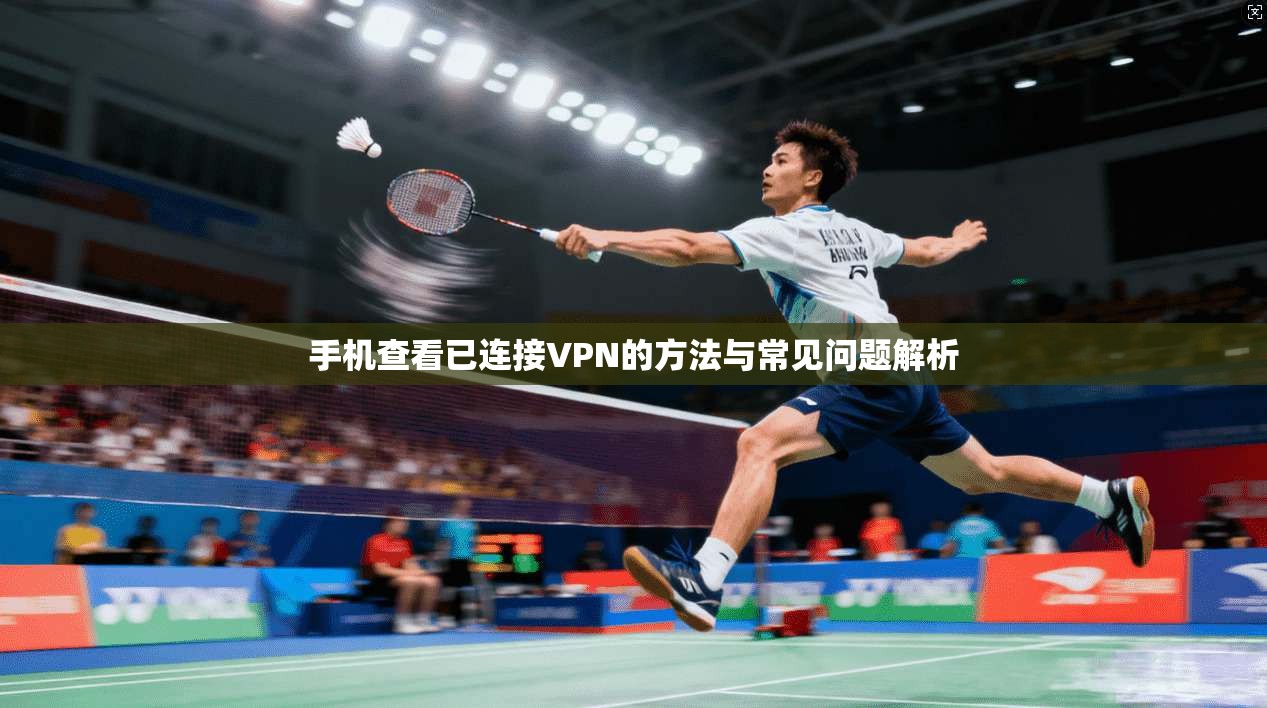 手机查看已连接VPN的方法与常见问题解析