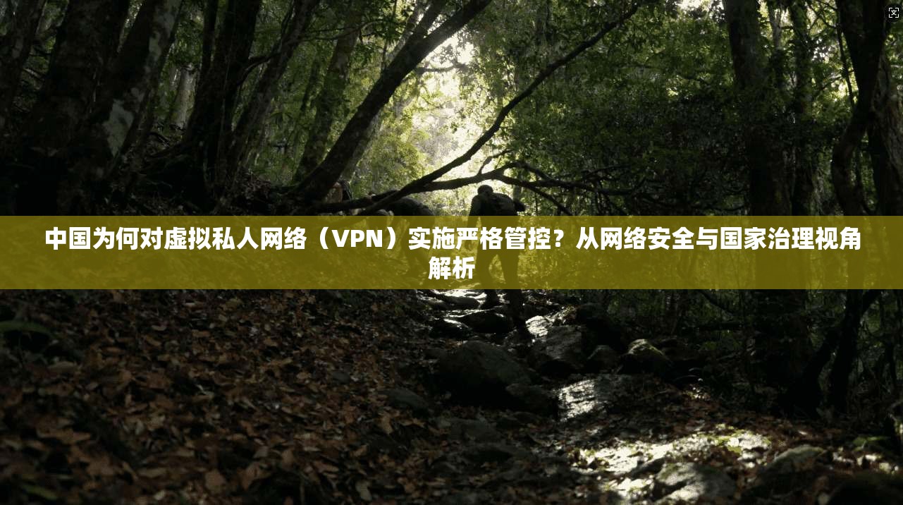 中国为何对虚拟私人网络（VPN）实施严格管控？从网络安全与国家治理视角解析