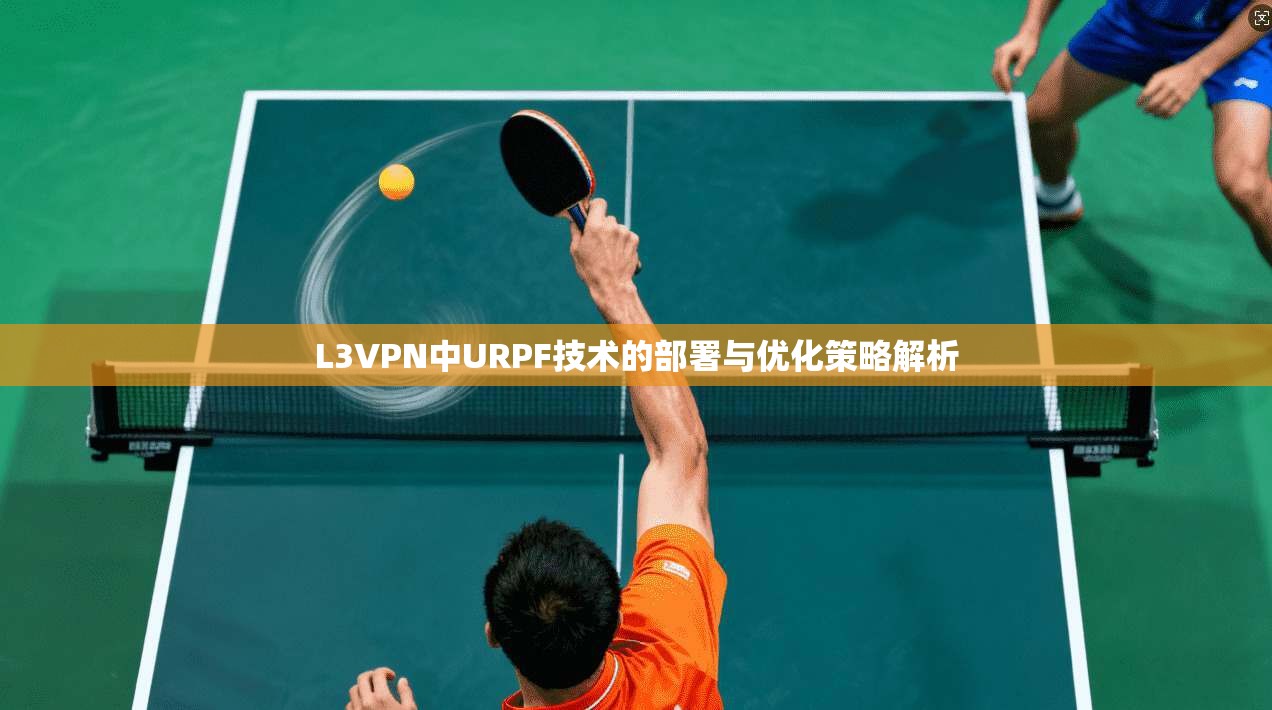 L3VPN中URPF技术的部署与优化策略解析