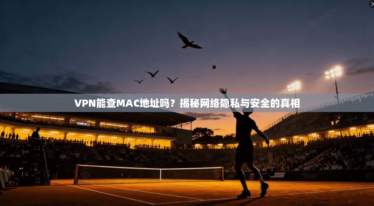 VPN能查MAC地址吗？揭秘网络隐私与安全的真相