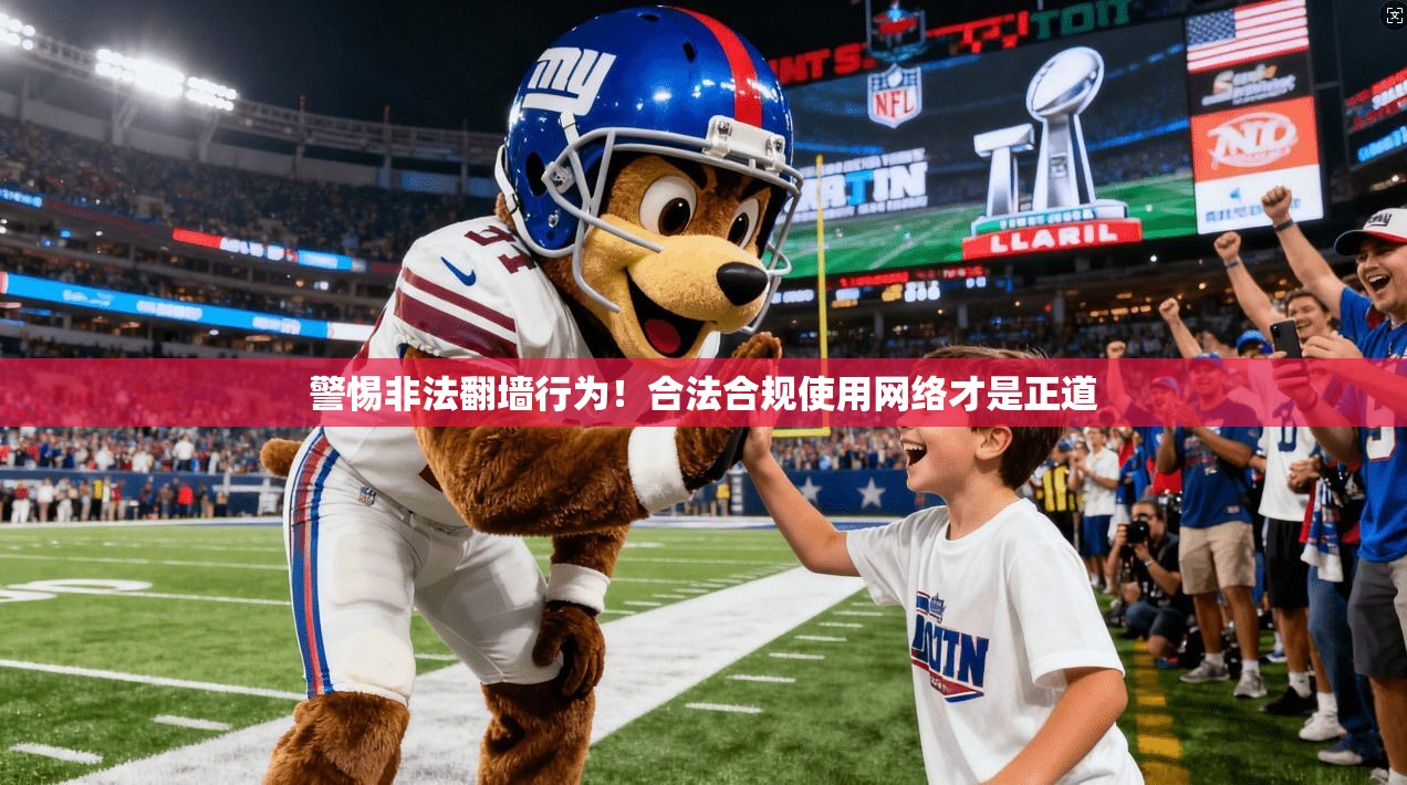 警惕非法翻墙行为！合法合规使用网络才是正道