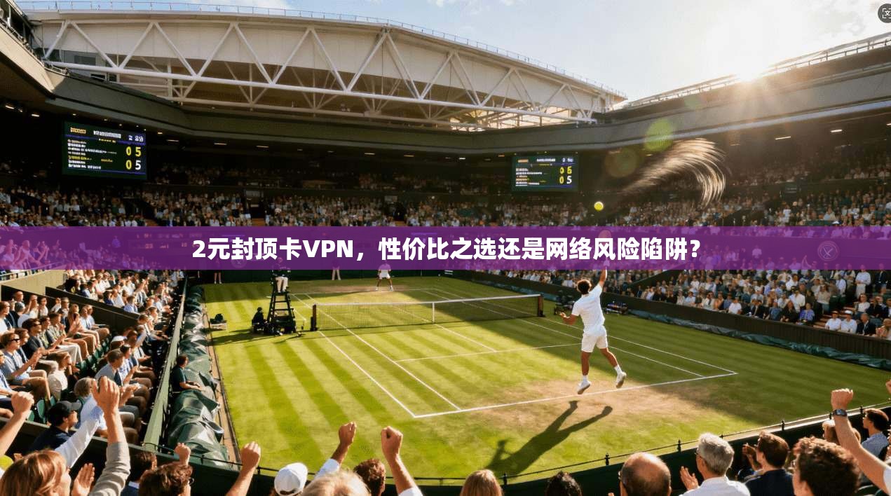 2元封顶卡VPN，性价比之选还是网络风险陷阱？
