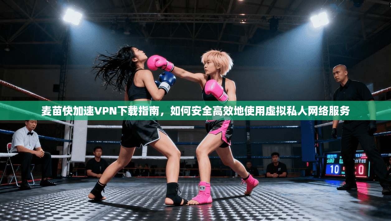 麦苗快加速VPN下载指南，如何安全高效地使用虚拟私人网络服务