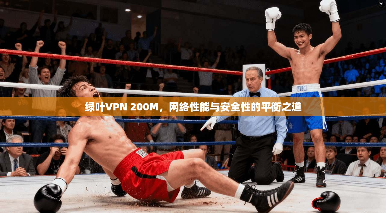 绿叶VPN 200M，网络性能与安全性的平衡之道