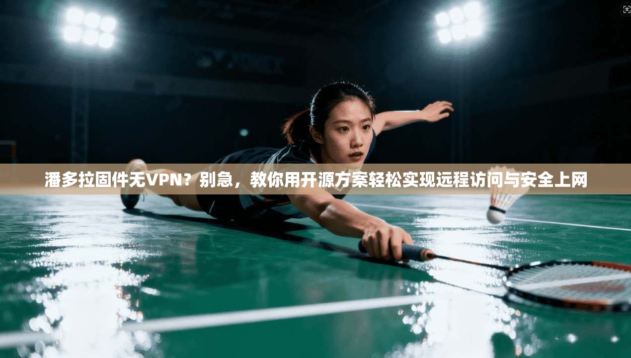 潘多拉固件无VPN？别急，教你用开源方案轻松实现远程访问与安全上网
