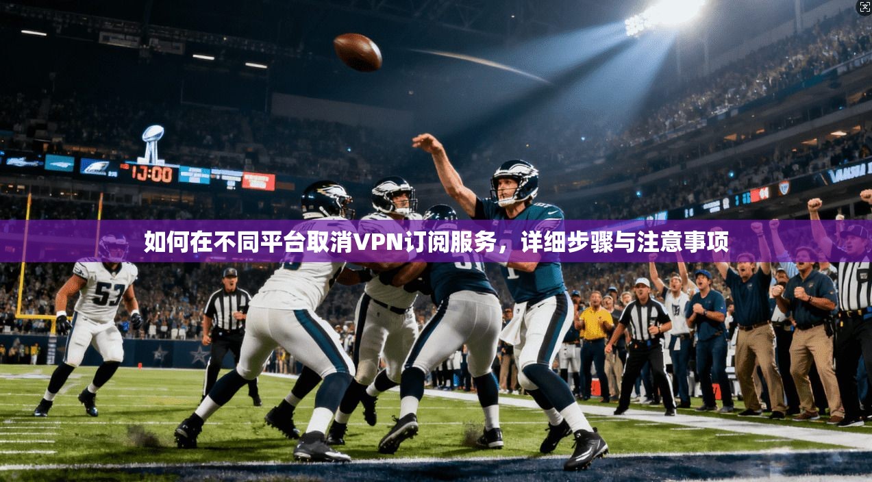 如何在不同平台取消VPN订阅服务,详细步骤与注意事项 如何在不同平台取消VPN订阅服务,详细步骤与注意事项