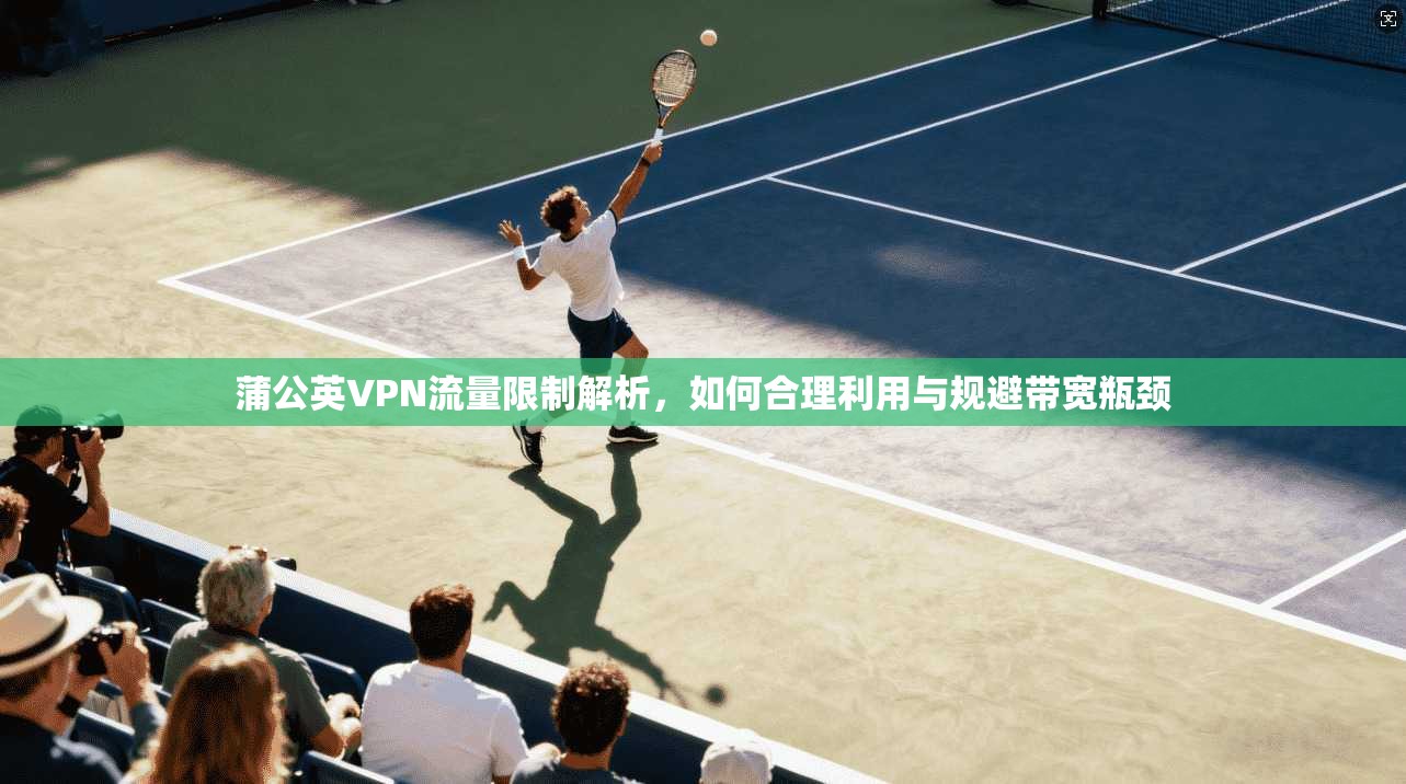 蒲公英VPN流量限制解析，如何合理利用与规避带宽瓶颈