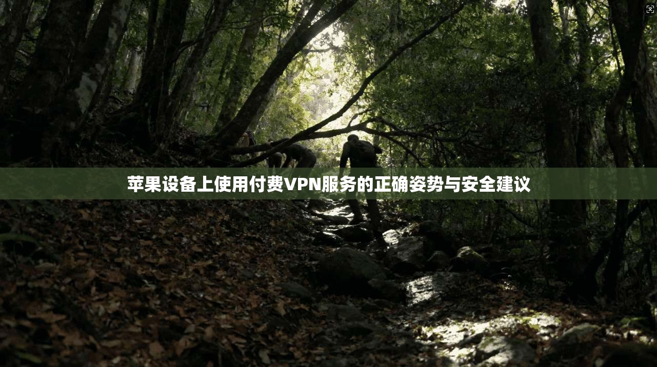 苹果设备上使用付费VPN服务的正确姿势与安全建议