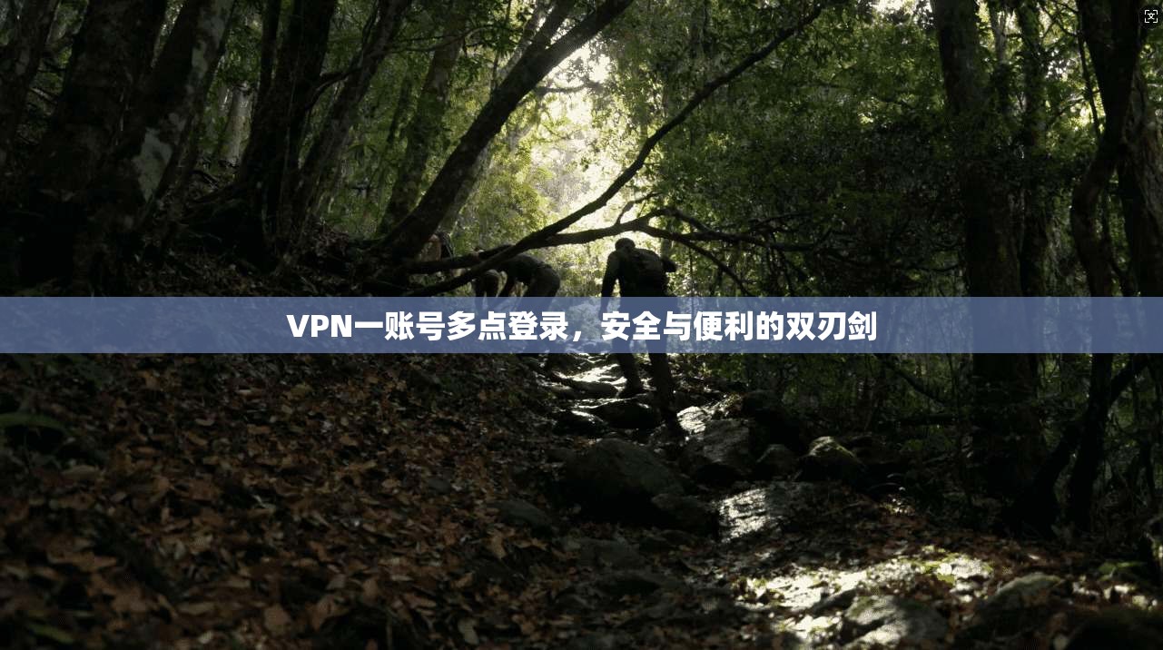 VPN一账号多点登录，安全与便利的双刃剑