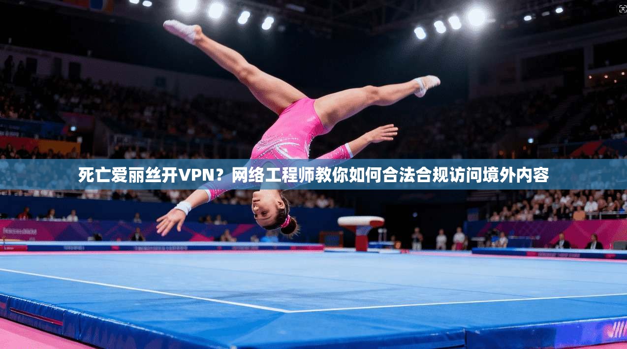 死亡爱丽丝开VPN?网络工程师教你如何合法合规访问境外内容 死亡爱丽丝开VPN?网络工程师教你如何合法合规访问境外内容
