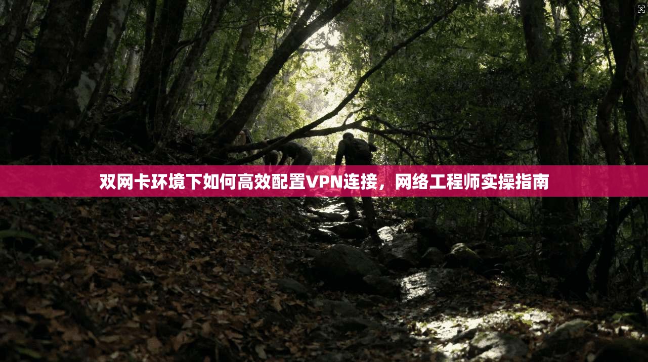 双网卡环境下如何高效配置VPN连接，网络工程师实操指南
