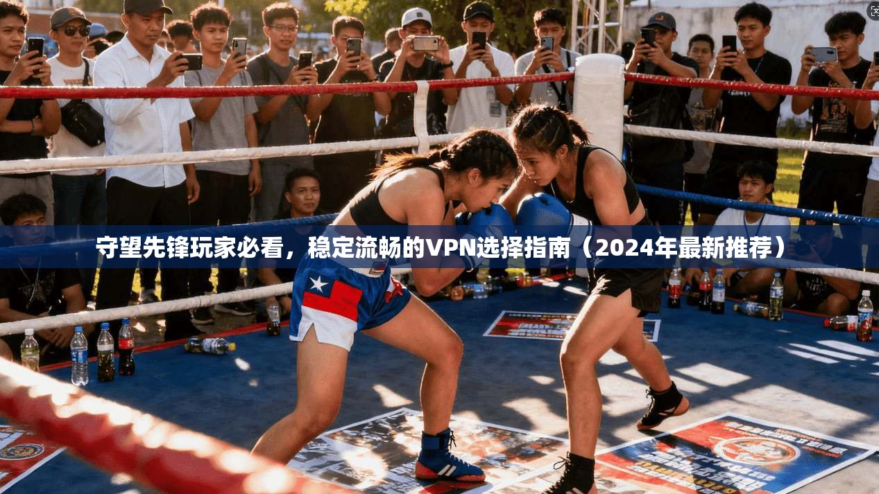 守望先锋玩家必看，稳定流畅的VPN选择指南（2024年最新推荐）