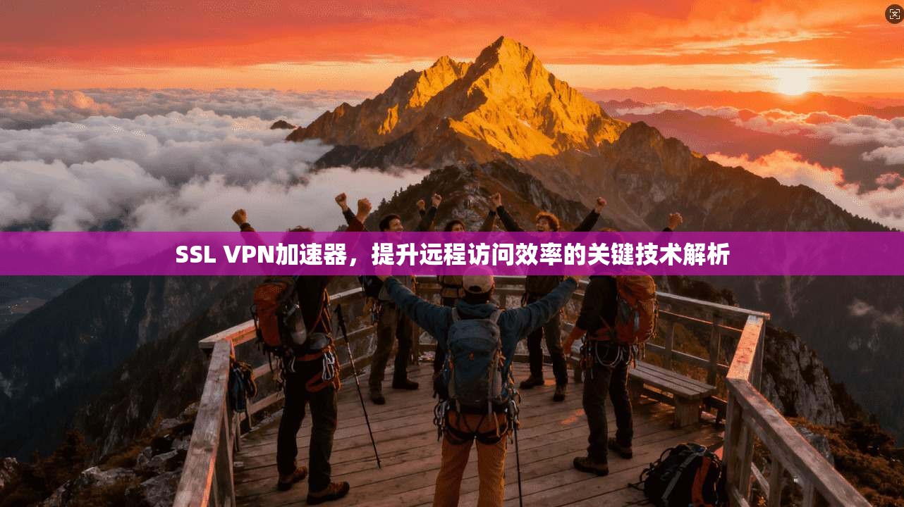 SSL VPN加速器，提升远程访问效率的关键技术解析