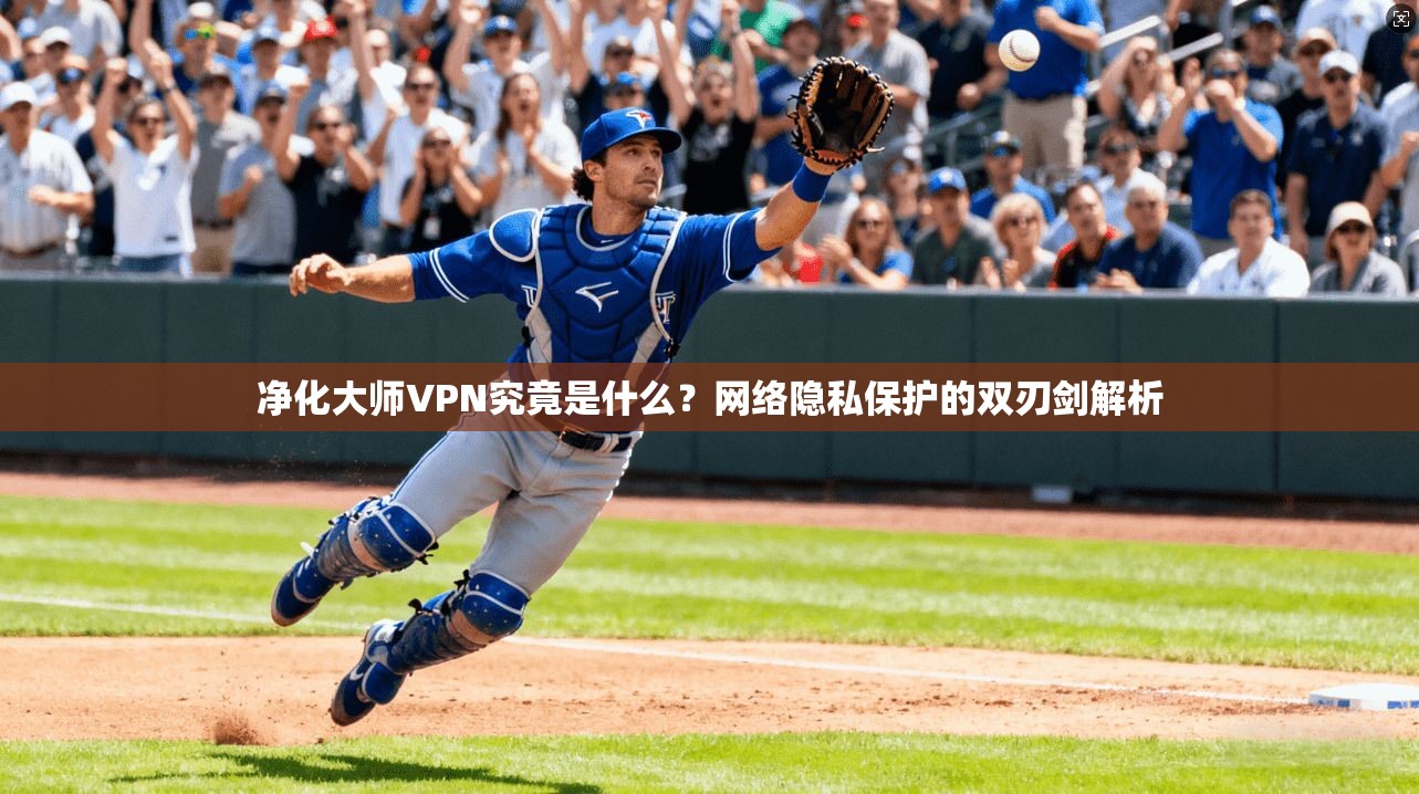 净化大师VPN究竟是什么？网络隐私保护的双刃剑解析