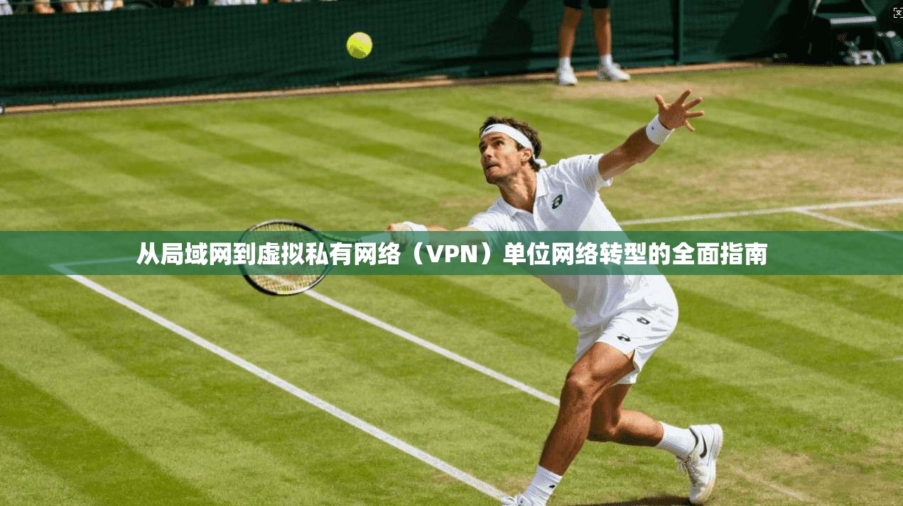 从局域网到虚拟私有网络（VPN）单位网络转型的全面指南