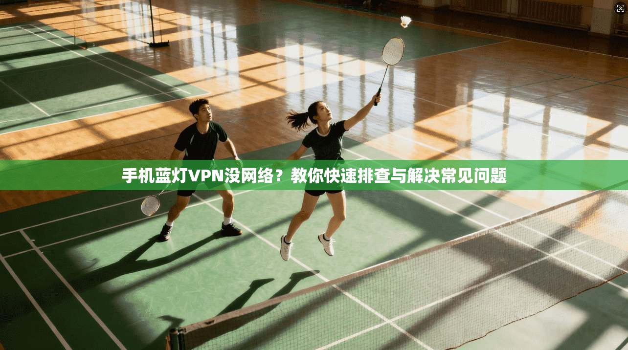 手机蓝灯VPN没网络？教你快速排查与解决常见问题